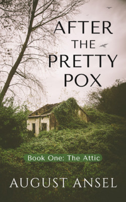 Ansel_AFTER-THE-PRETTY-POX_ebook-small