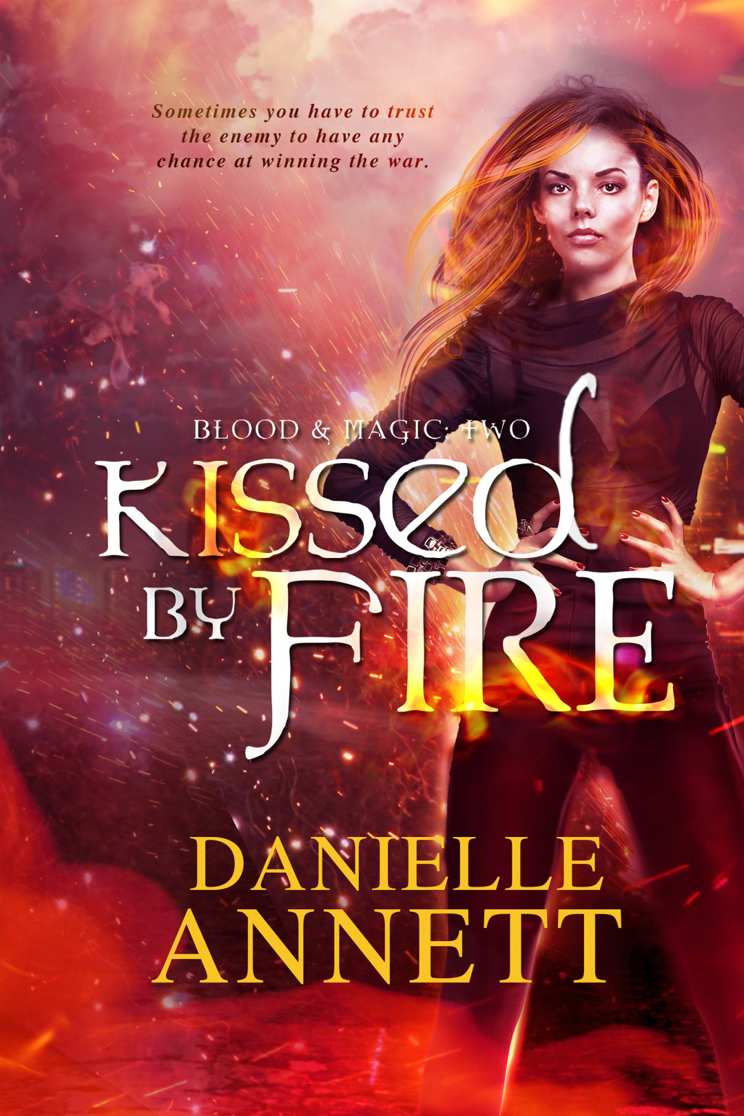 Cursed by Fire by Danielle Annett | Book Barbarian