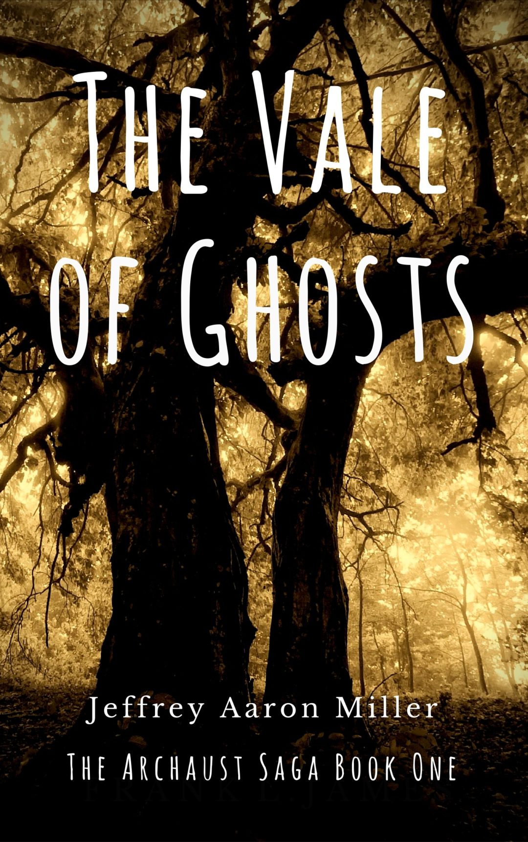 The Vale of Ghosts by Jeffrey Aaron Miller | Book Barbarian